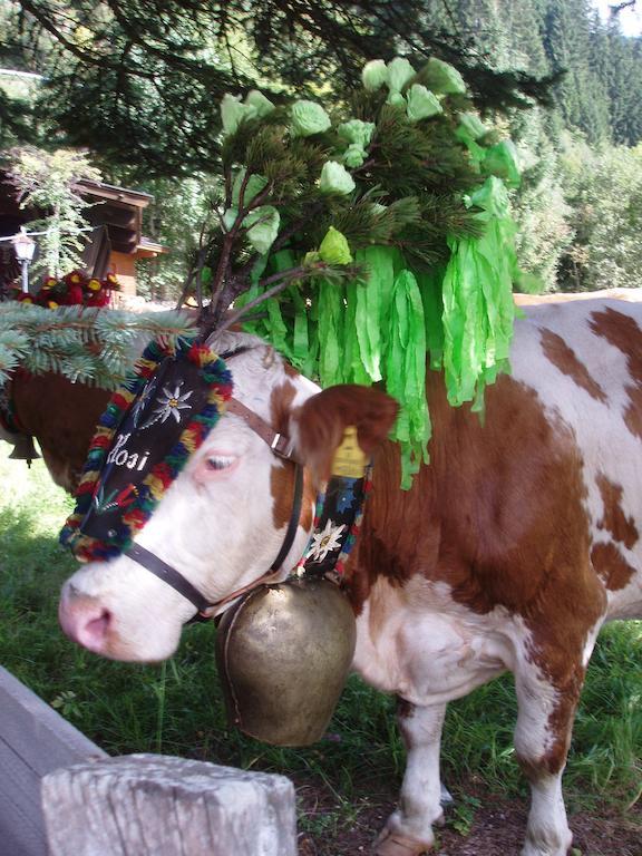 Ferienwohnung Wohlfartstaetter Auffach Luaran gambar